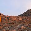 Alpinglow at Granite Pass