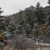 Heading up the Timber trail