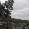 Hiking up the forested mountain side
