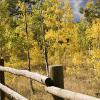 Afternoon in Pingree Park