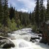 A Day Along the Poudre River:  June 24, 2007