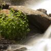 Lower part of Bridal Veil Falls