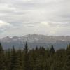 Distant mountains peak above the trees
