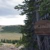 We made it to the boundary of the wilderness
