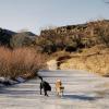 The doggies play on a frozen Poudre river
