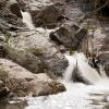 Cataracts on the creek flowing down the mountain