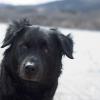 Hiking to Horsetooth Reservoir:  March 13, 2008