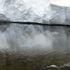 A fly fisherman in cold water