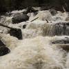 Raging white water in the North St Vrain 
