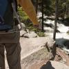 Crazy national park chipmunks!