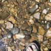 Standing in cold mountain water