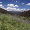 Wildflowers in the glacial valley