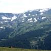 These Elk have great views for the afternoon