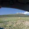 Mark buzzes past a huge herd of elk
