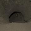 Badger hole!!