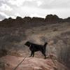 Liv is excited to finally get some hiking in