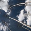 Really tall aspens