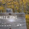 Our destination lays beyond 3 miles of amazing fall color