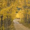 Everything is glowing yellow