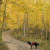 Liv and the yellow trees