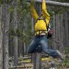 Mark tests the strength of this branch in the pine forest
