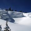 _DSC5951