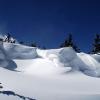 _DSC5954