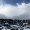 _DSC5958