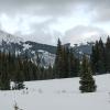 _DSC7647