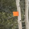 Our trail is marked with orange blazes
