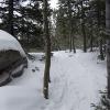 We decided to take a shortcut up the hill