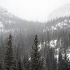 Trees, valleys, mountains, snow