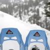 The snowshoes are officially on!!