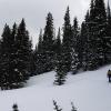 _DSC8953