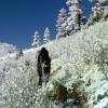 Working our way up the Greyrock Meadows trail