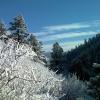 View down into the Poudre Canyon