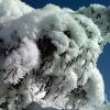 Sticky snow!