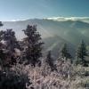 View of a snowy misty Poudre Canyon