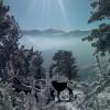 Liv in the Mountains
