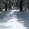 Shadows on the snow
