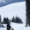 Approaching tree-line below a 1000ft wall of snow