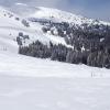 Liv runs free on Montgomery pass