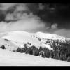 B&W Vista