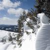 Snow sculptures