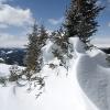 More snow sculptures