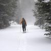 Snowshoeing Rocky Mountain NP:  January 5, 2008