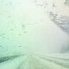 White, white everywhere
