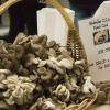 Who wouldn't want a share of a mushroom CSA?