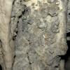 Crystals growing on the limestone are really beautiful