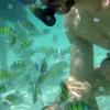 Mark plays with a lot of fish (feeding them rice)